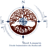 Logo Skol Louarn
