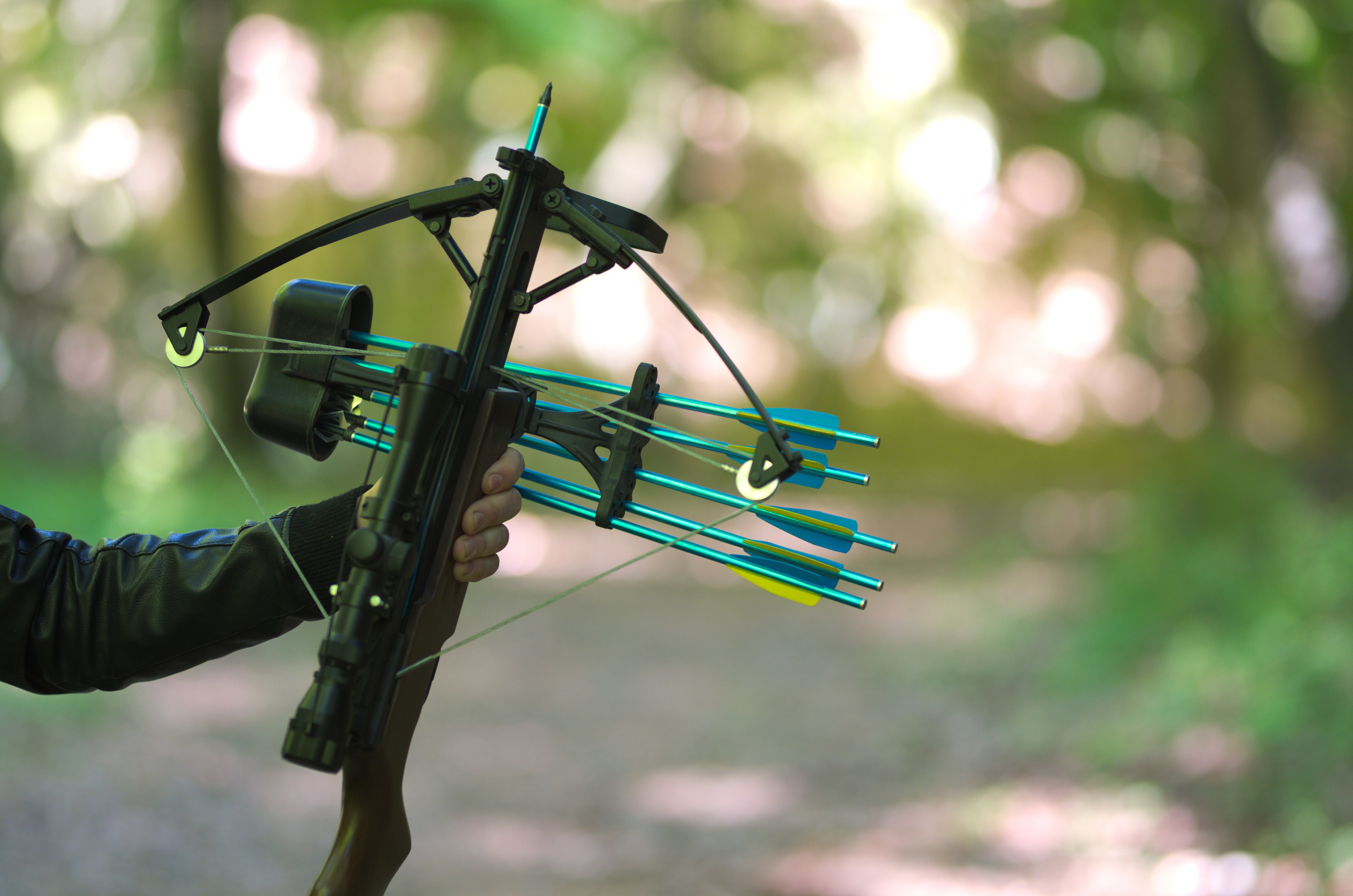 <div>Try your hand at</div>crossbow shooting